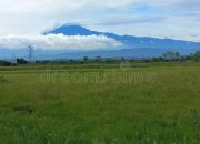 Gunung Tertinggi di Pulau Jawa Puncak Semeru