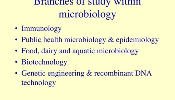 Berikut ini yang merupakan aplikasi cabang biologi bidang mikrobiologi adalah