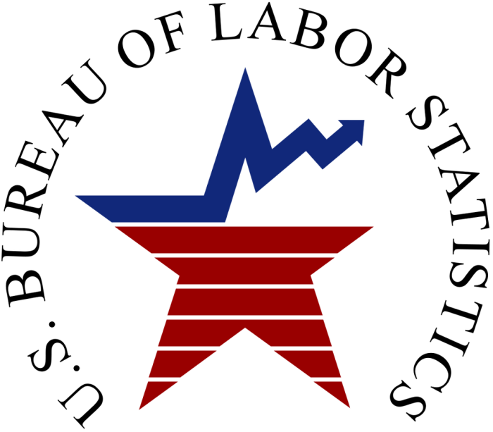 Badan pusat statistik karir