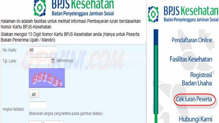Cara cek nik bpjs kesehatan