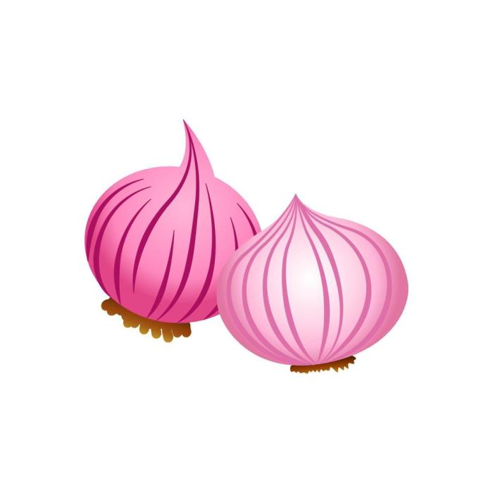 Gambar bawang merah kartun