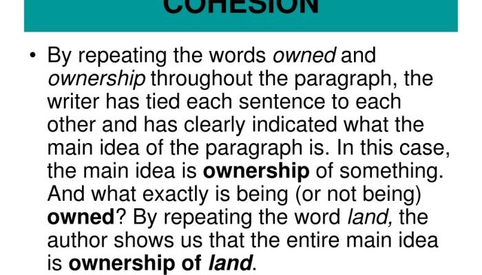 Contoh Kohesi Panduan Menulis Efektif