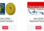 Instansi CPNS adalah Lembaga Pemerintah