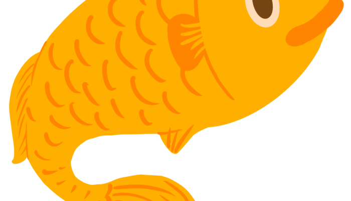 Gambar Ikan Patin Panduan Lengkap