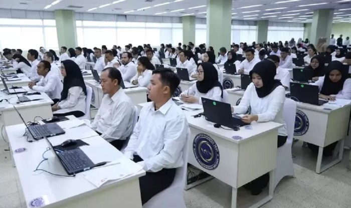 Info formasi cpns 2024