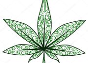 Gambar Daun Ganja Persepsi dan Penggunaannya