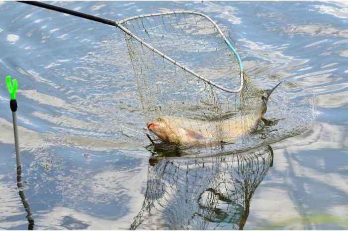 Mimpi mancing dapat ikan besar