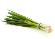 Bawang Merah Berkembang Biak Studi Lengkap