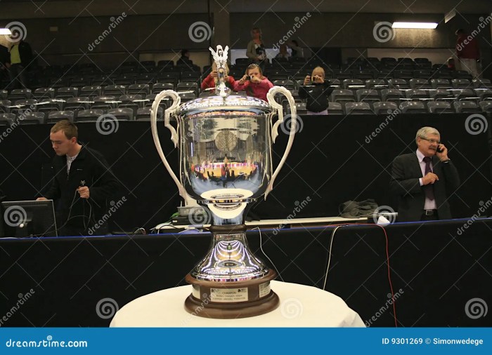 Mengenal EHF Champions League, UCL-nya Bola Tangan yang