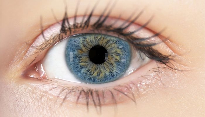 Bahasa Inggris Mata Pandangan Baru