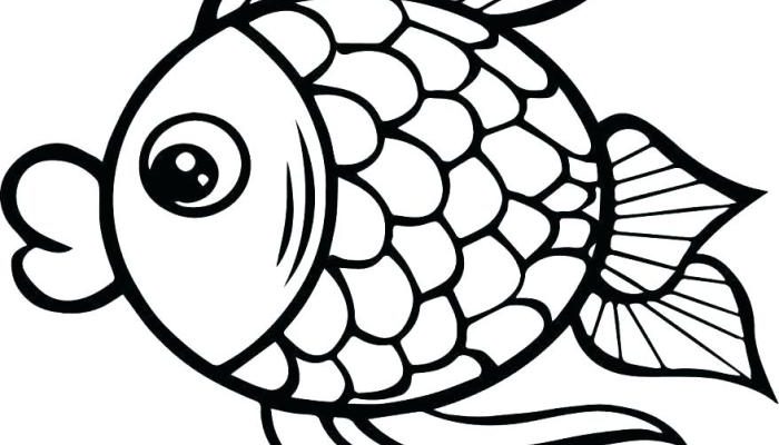 Gambar Mewarnai Ikan Kreatif dan Edukatif