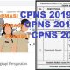 Formasi cpns kementerian pertahanan