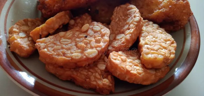 Kalori tempe goreng