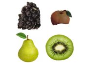 Dibawah ini serat yang berasal dari buah adalah sumber nutrisi penting