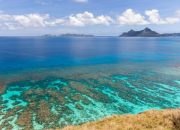 Mengenal Lebih Dekat Buah Gambir