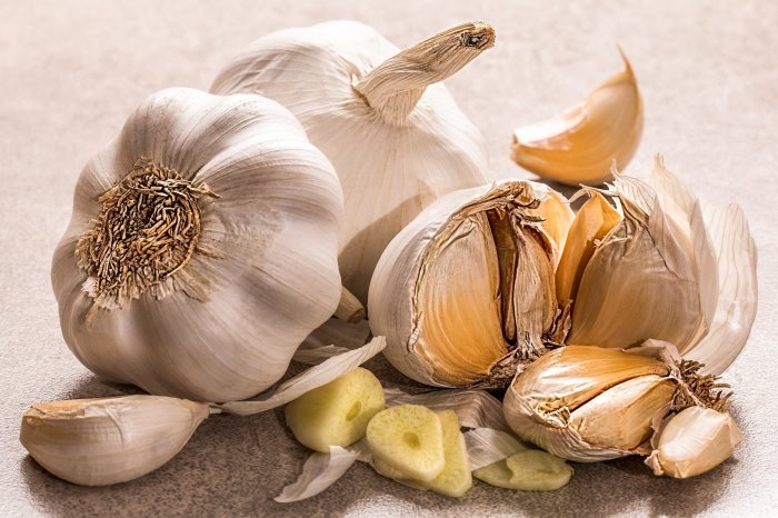 Garlic benefits health blog healthy its yoga