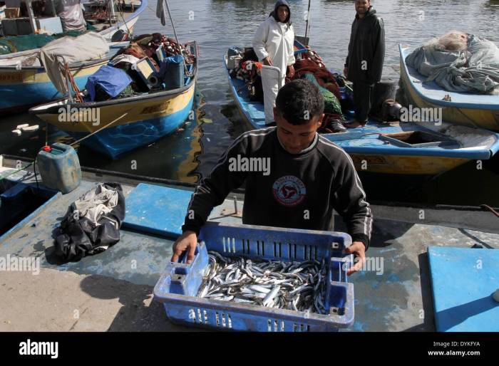 Ikan menepi di gaza