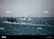 Ikan Berlimpah di Gaza Benarkah?