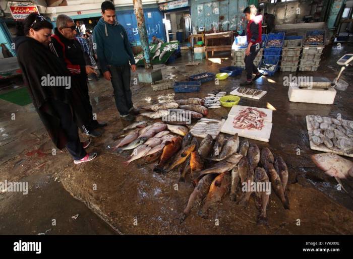 Fenomena ikan di gaza