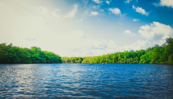 Contoh Artikel Lingkungan Fakta dan Opini