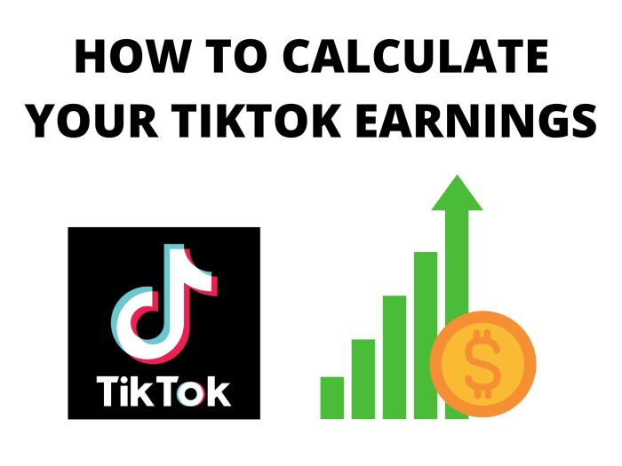 Cari tahu penghasilan tiktok