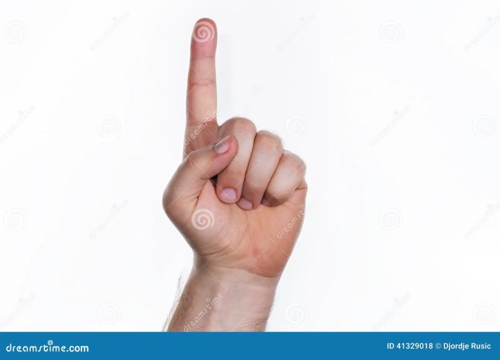 Fingers ratio digit dedos pointer behavior predicts lengths determine measure testosterone enfermedades discovermagazine pijamasurf tendencia agresividad longitud predict