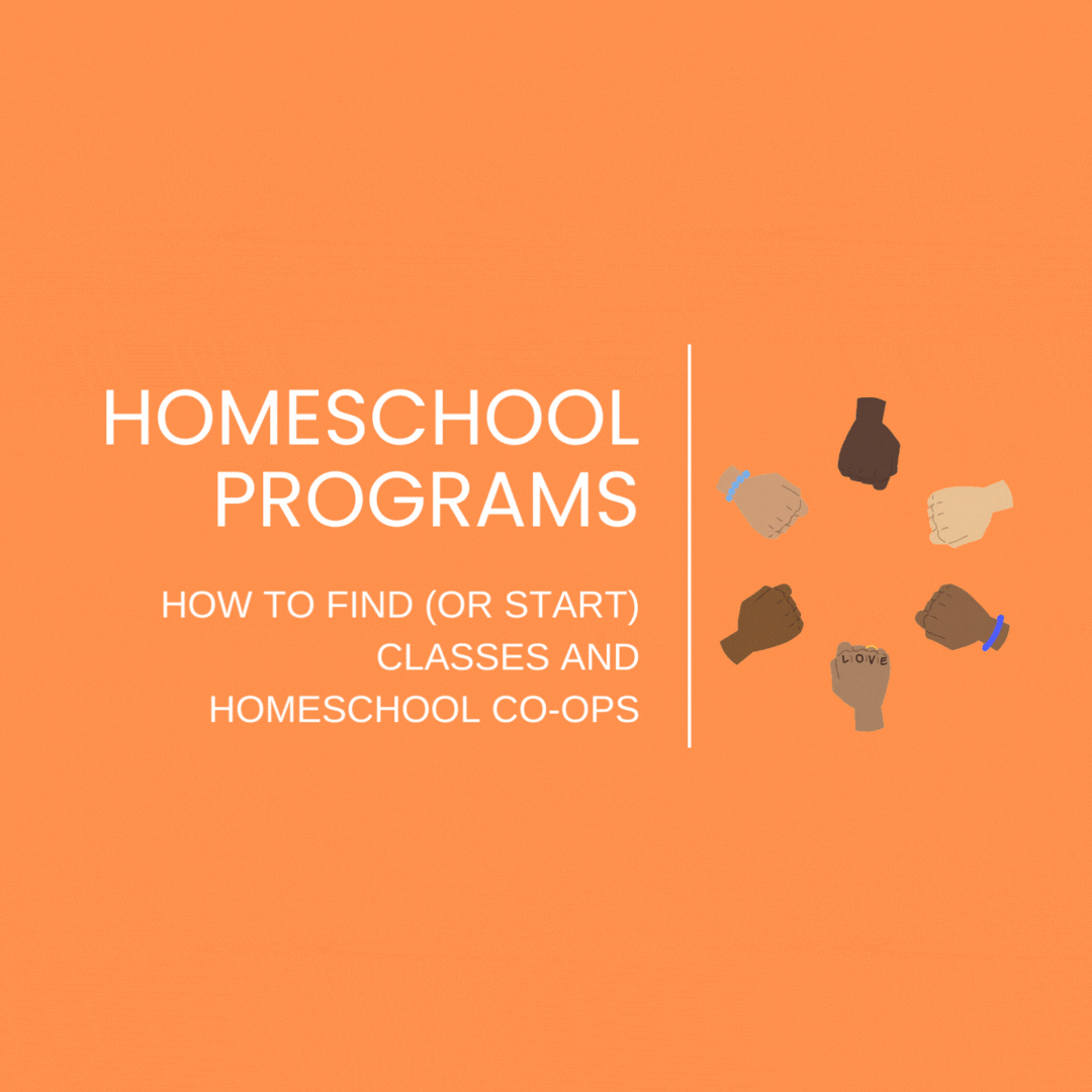 Programs homeschooling