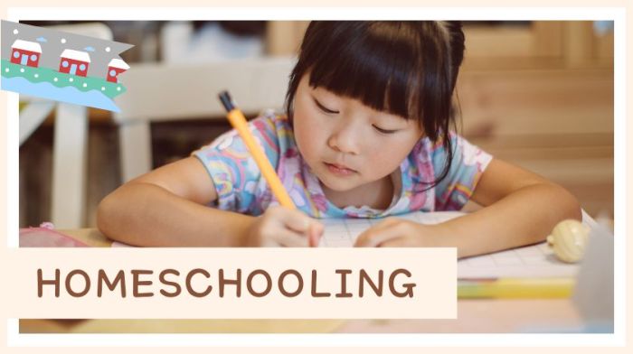 Homeschool homeschooling tips curriculum start kindergarten ten guide need grade choose now books get choices school started schedule article education
