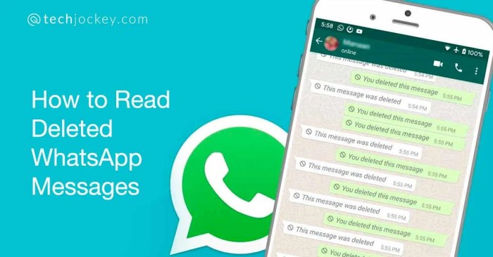 Cara melihat pesan whatsapp yang sudah dihapus oleh pengirimnya