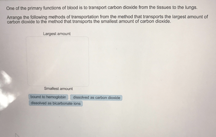 Darah mengangkut karbon dioksida yang terbanyak dalam bentuk