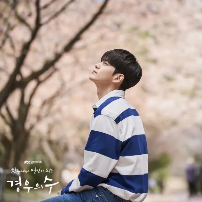 Drakorindo more than friends