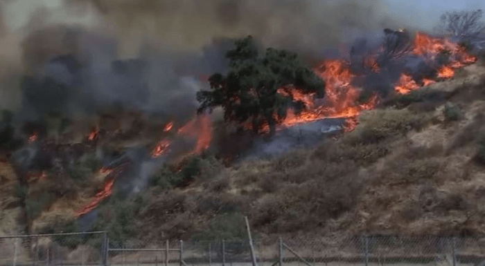 Penyebab kebakaran besar di Los Angeles dan jumlah korban