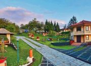 Hotel Dekat Taman Safari Bogor Panduan Lengkap
