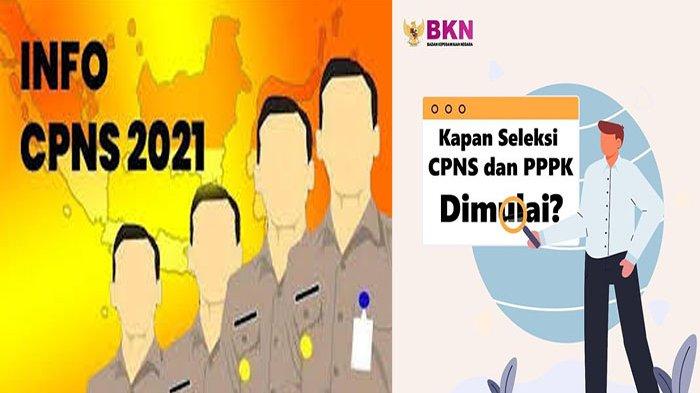 Pengumuman administrasi cpns bkn