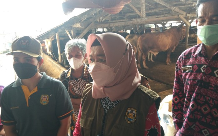 Dokter hewan bandar lampung