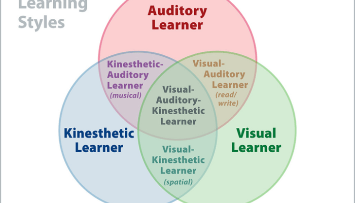 Gaya Belajar Visual, Auditori, dan Kinestetik