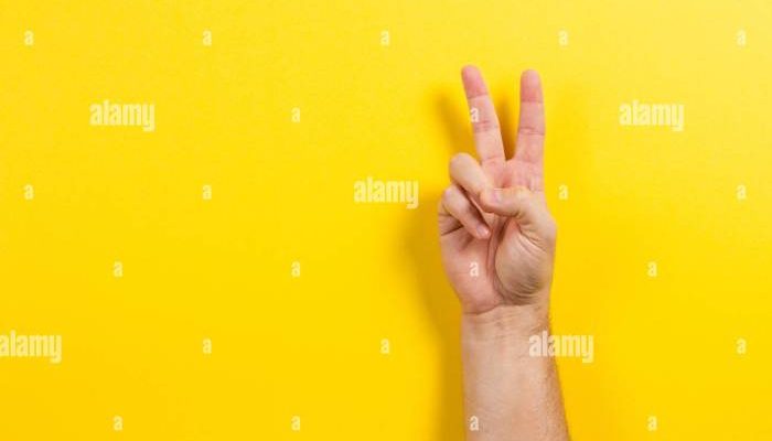 Lirik Lagu Goyang Dua Jari Analisis dan Interpretasi