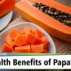 Papaya benefits health known never