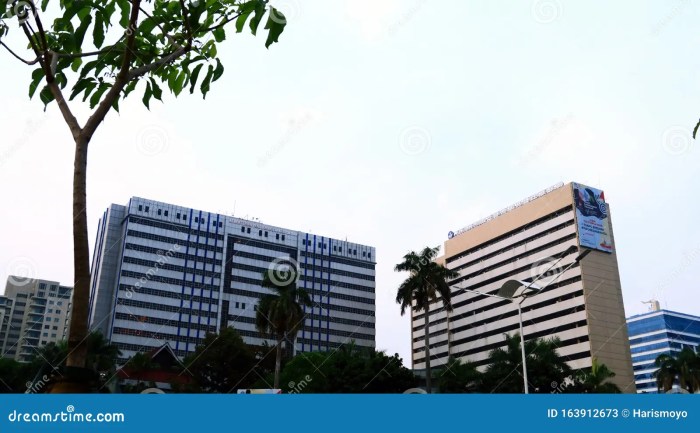 Education ministry ghana gh moe strategic partners health information