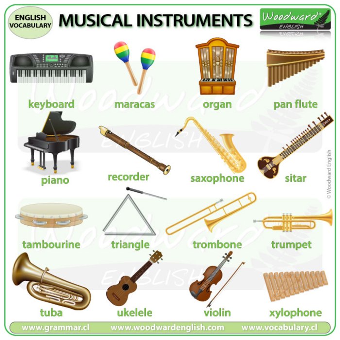Gambar alat musik dan namanya