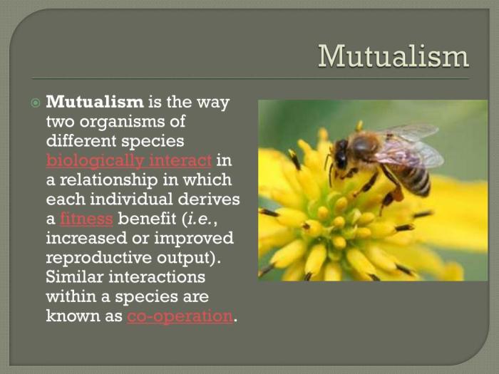 Hubungan antara makhluk hidup berikut yang membentuk simbiosis mutualisme adalah