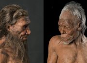 Asal Usul Manusia Purba Jejak Evolusi