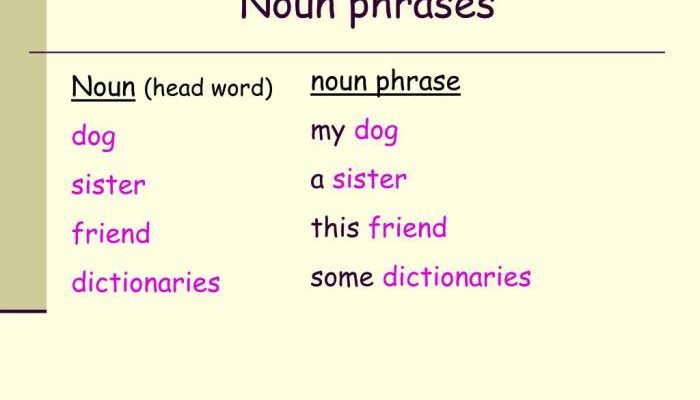 Contoh Kalimat Noun Phrase Panduan Lengkap