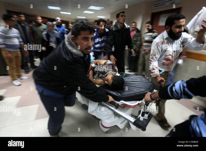 Dokter wanita yang di tembak di jalur gaza