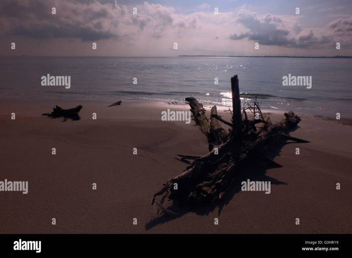 Daerah di indonesia yang bagaikan mutiara dari timur adalah