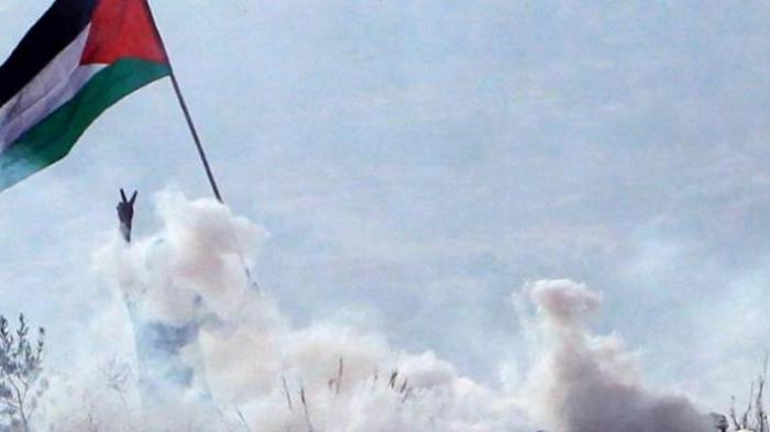 Donlowad lagu gaza tonight