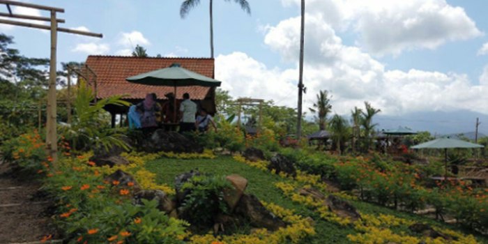 Rumah adat banyuwangi