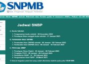 Cara Cek Pengumuman dan Hasil Seleksi SNPMB