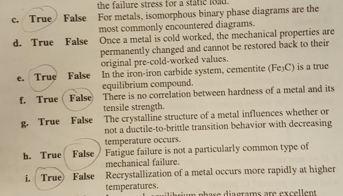 Contoh Soal True False Bahasa Indonesia