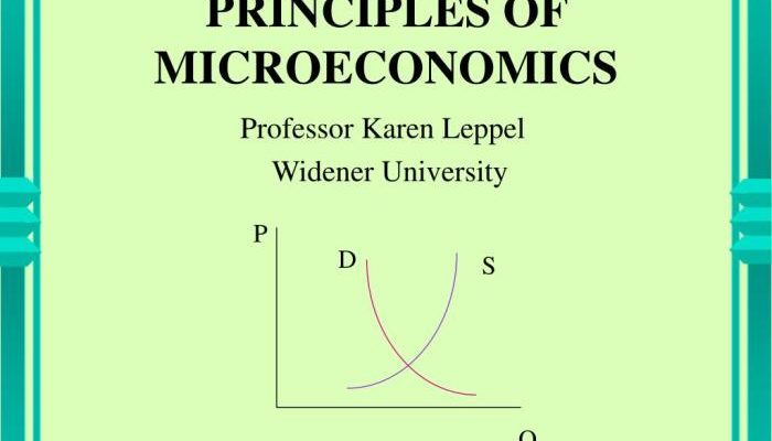 Ekonomi Mikro adalah studi perilaku ekonomi individu dan perusahaan.
